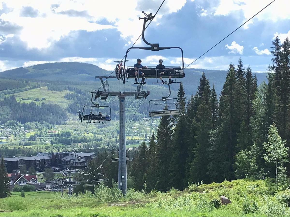 Lillebjorn Villa Trysil Exterior foto