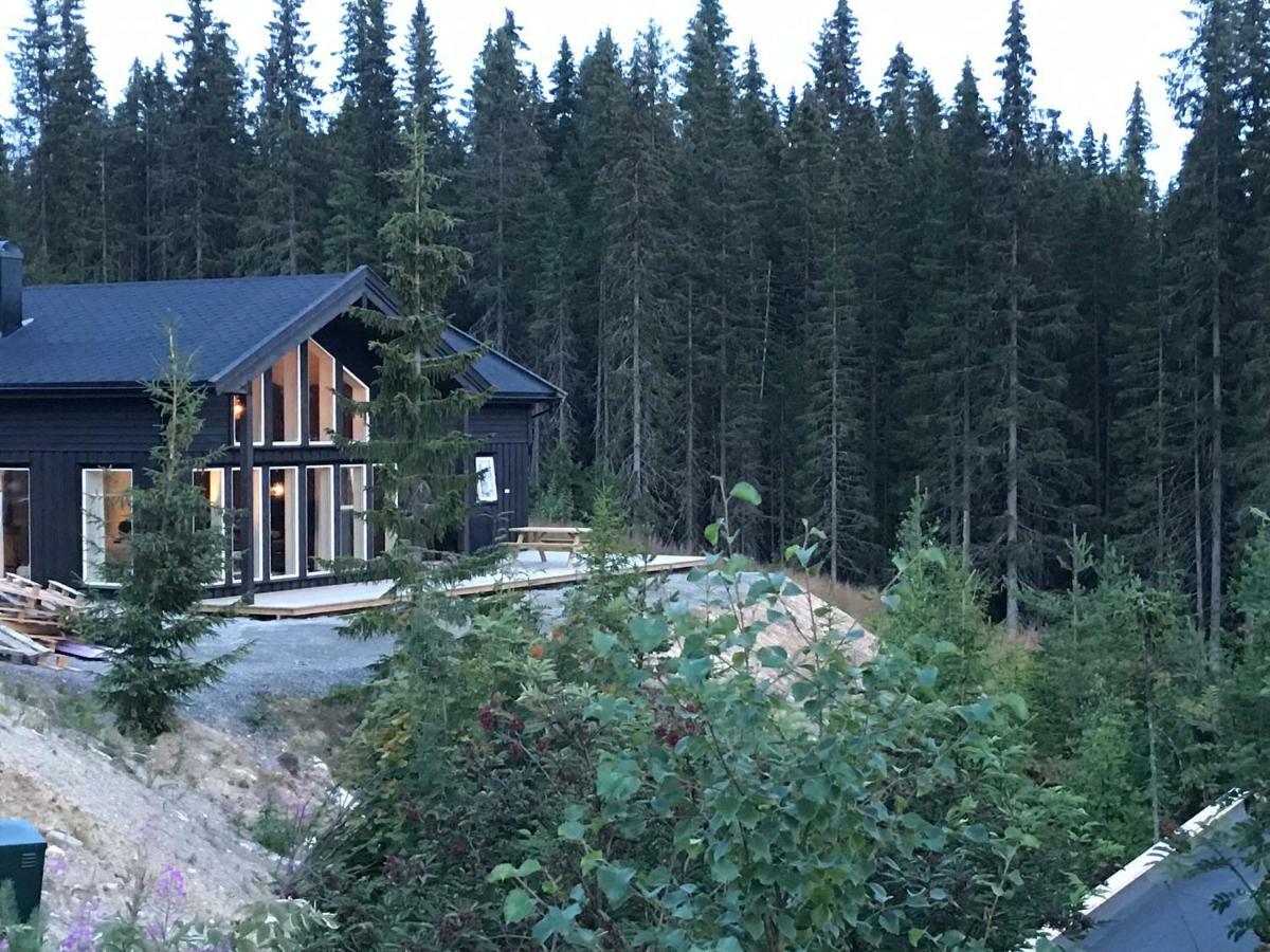 Lillebjorn Villa Trysil Exterior foto