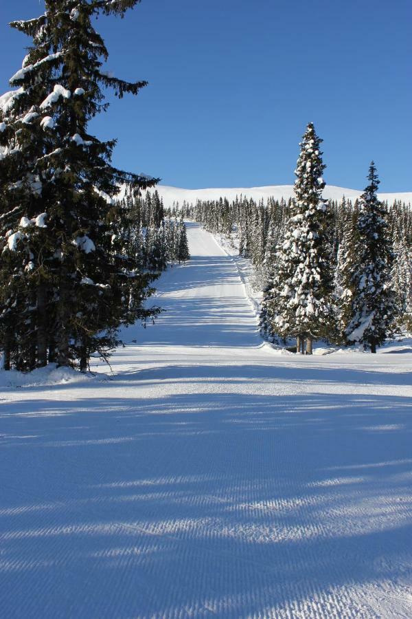 Lillebjorn Villa Trysil Exterior foto