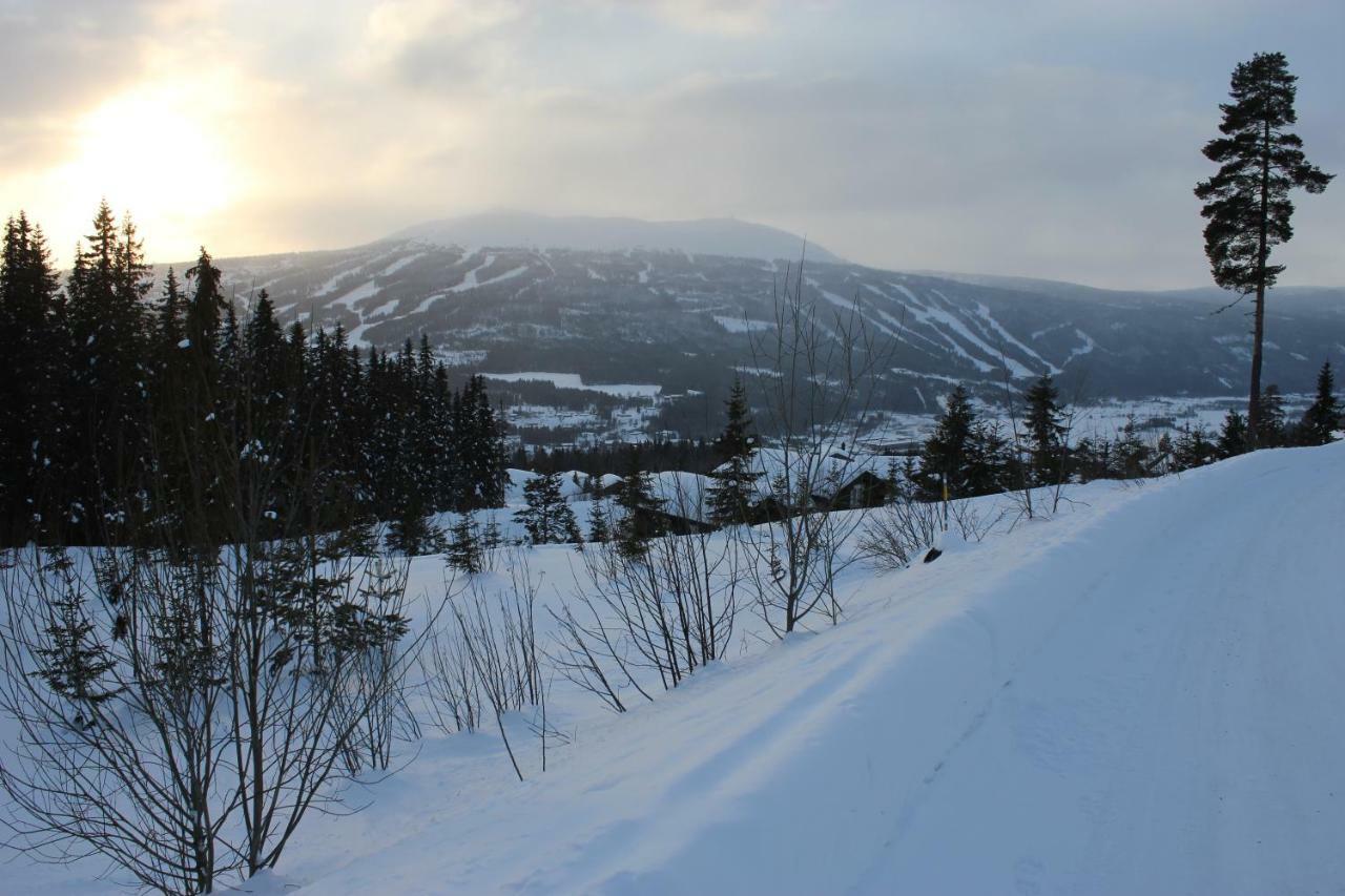 Lillebjorn Villa Trysil Exterior foto